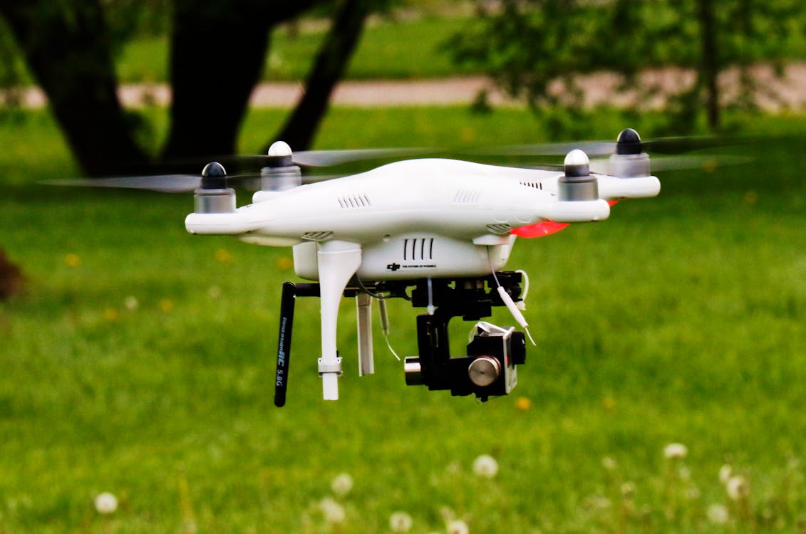 Free stock photo of drone, grass, green