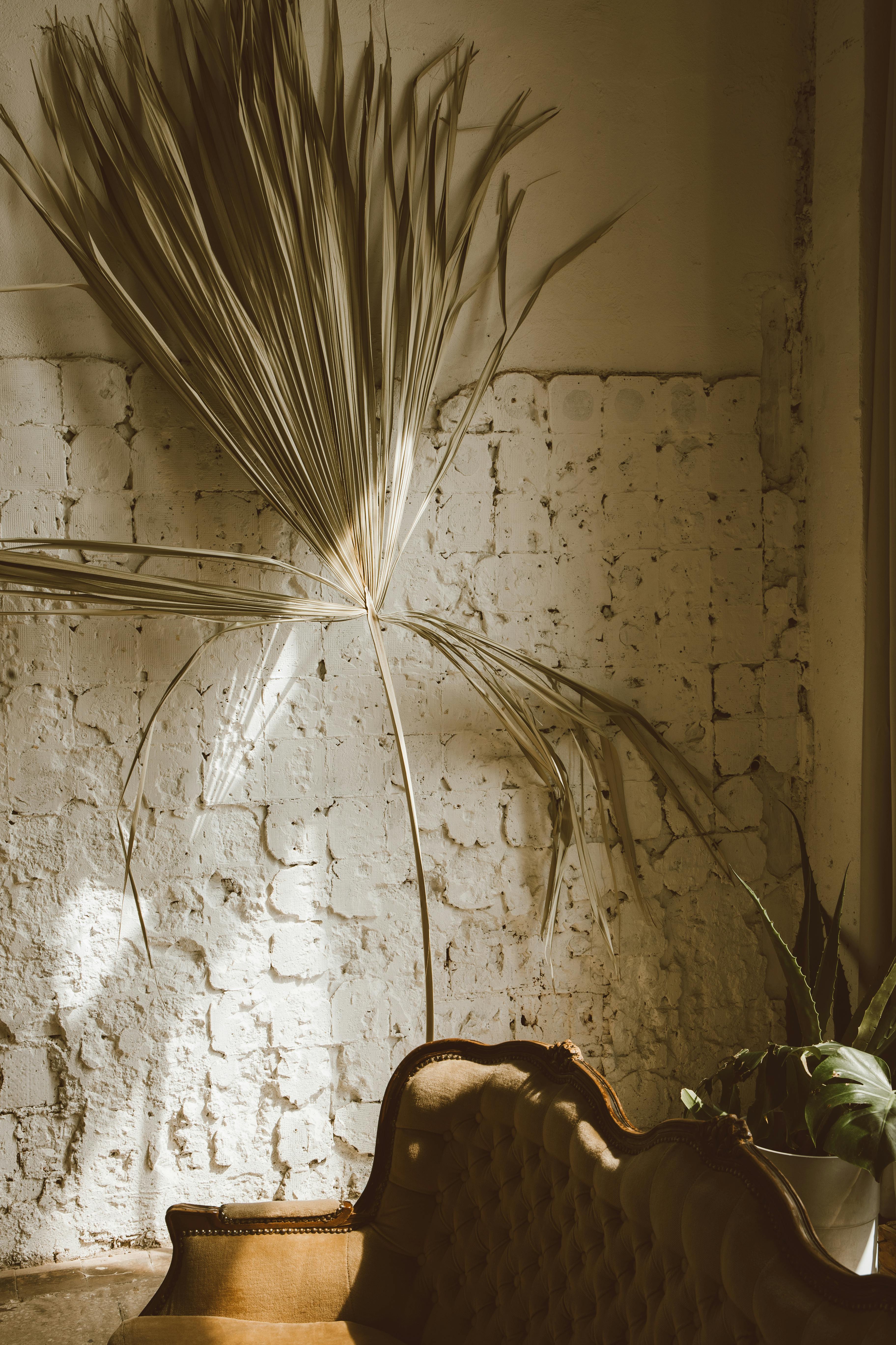 Dried Plants in a Bedroom · Free Stock Photo