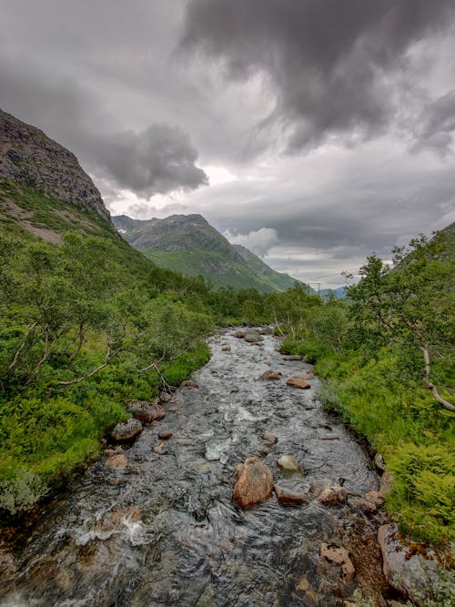 Free Photo of River Under Cloudy Sky Stock Photo