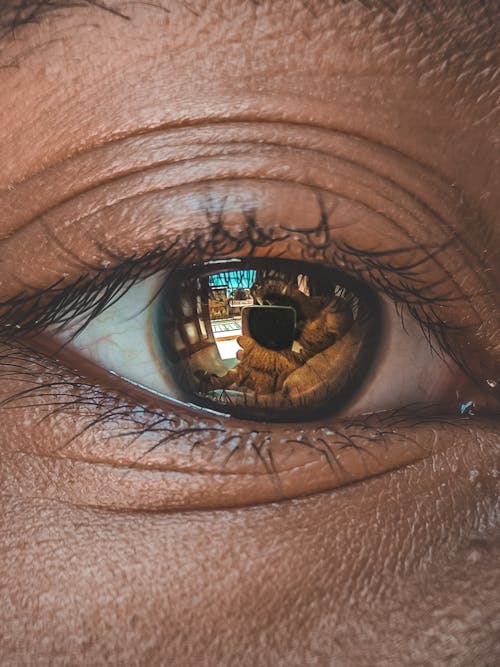 Person's Eye With Reflection