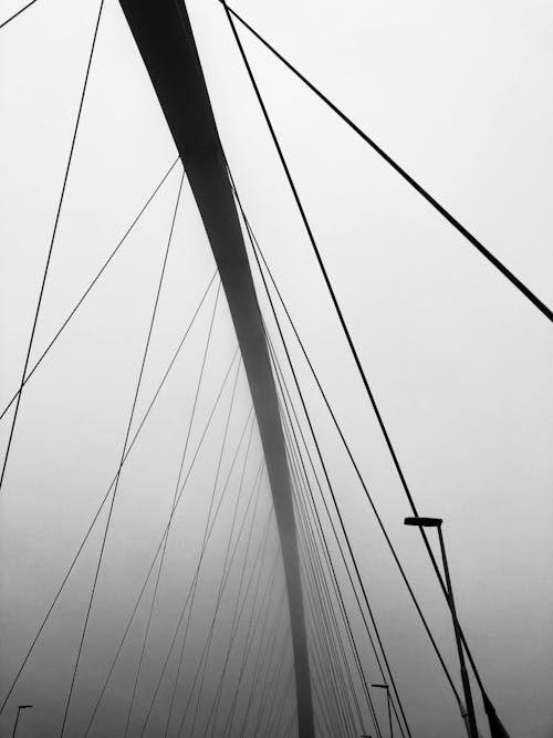 免费 垂直拍摄, 橋, 鋼筋混凝土結構 的 免费素材图片 素材图片