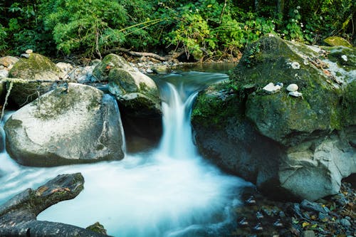 Kostenloses Stock Foto zu bach, blätter, felsen