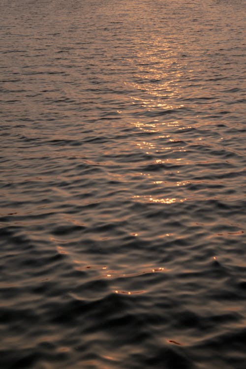 Free Close Up Shot of Water in the Ocean Stock Photo