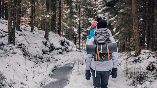 Two People Walking in Woods With Snow