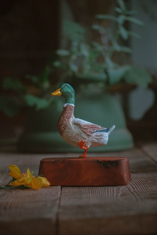 Free A Duck Figurine  Stock Photo
