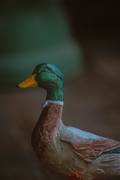 Free Detailed close-up of a mallard duck figurine with a blurred background. Stock Photo