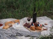 Wine and Food on a Picnic Blanket