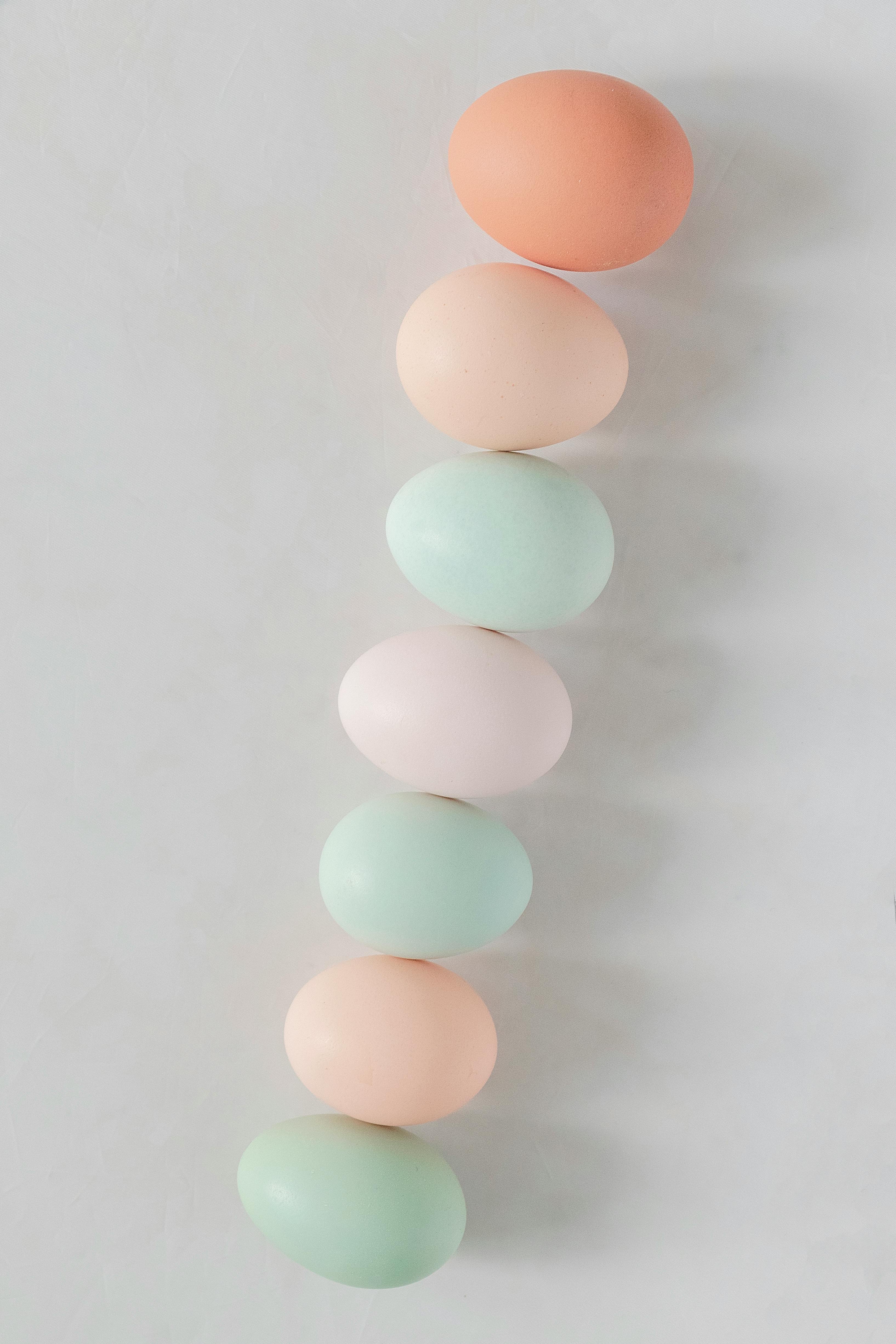 Pastel Color Eggs on White Surface · Free Stock Photo