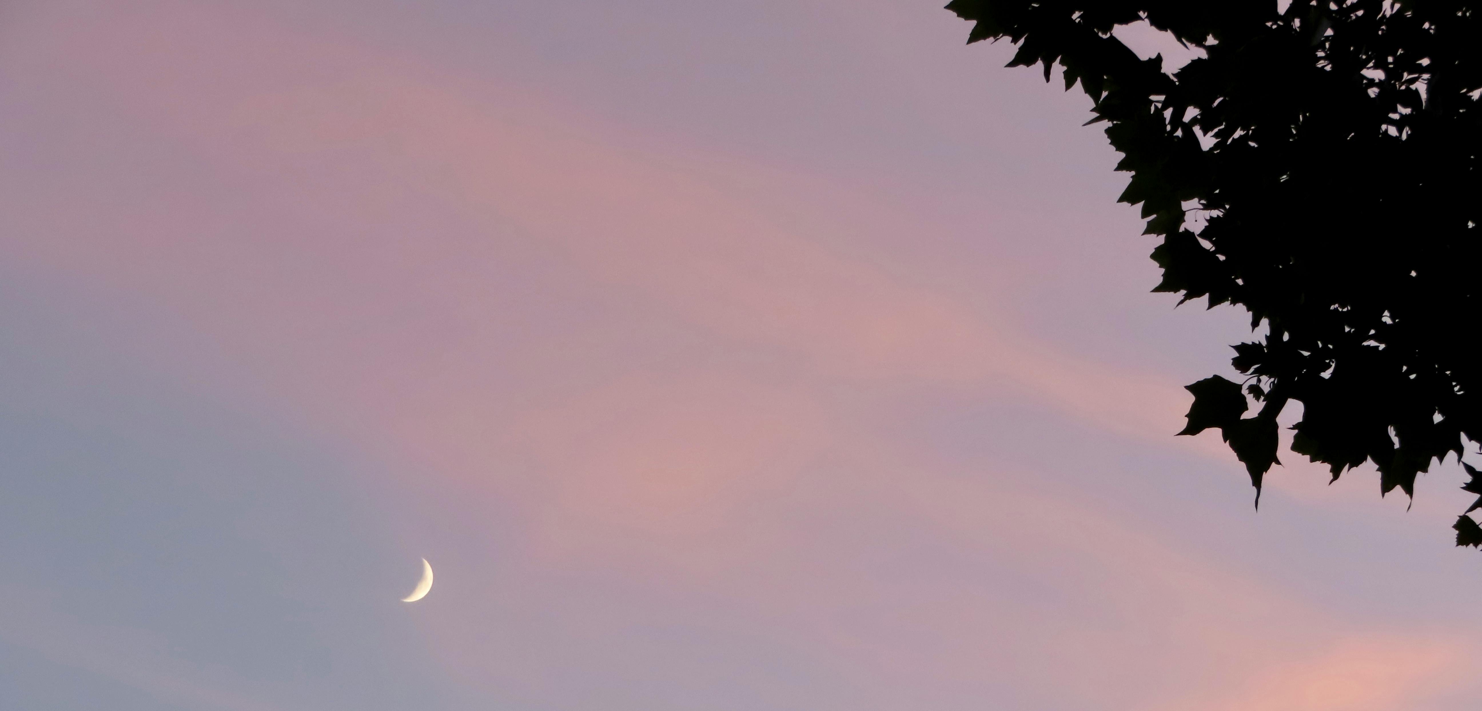 Bitcoin e Mercado Financeiro