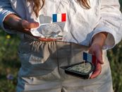 Close-up of hands holding French camembert and blue cheese with flags outdoors.