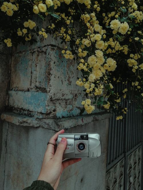 Free A hand holding a vintage camera against a rustic wall with yellow flowers. Perfect for technology and nature concepts. Stock Photo