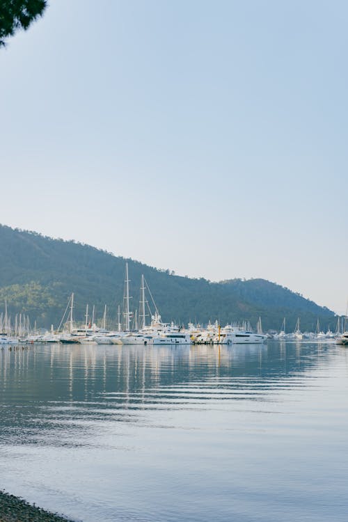 White Boat on Body of Water