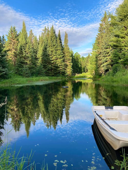 White Boat on Body of Water