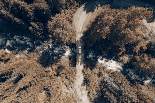 A Car Crossing a Bridge