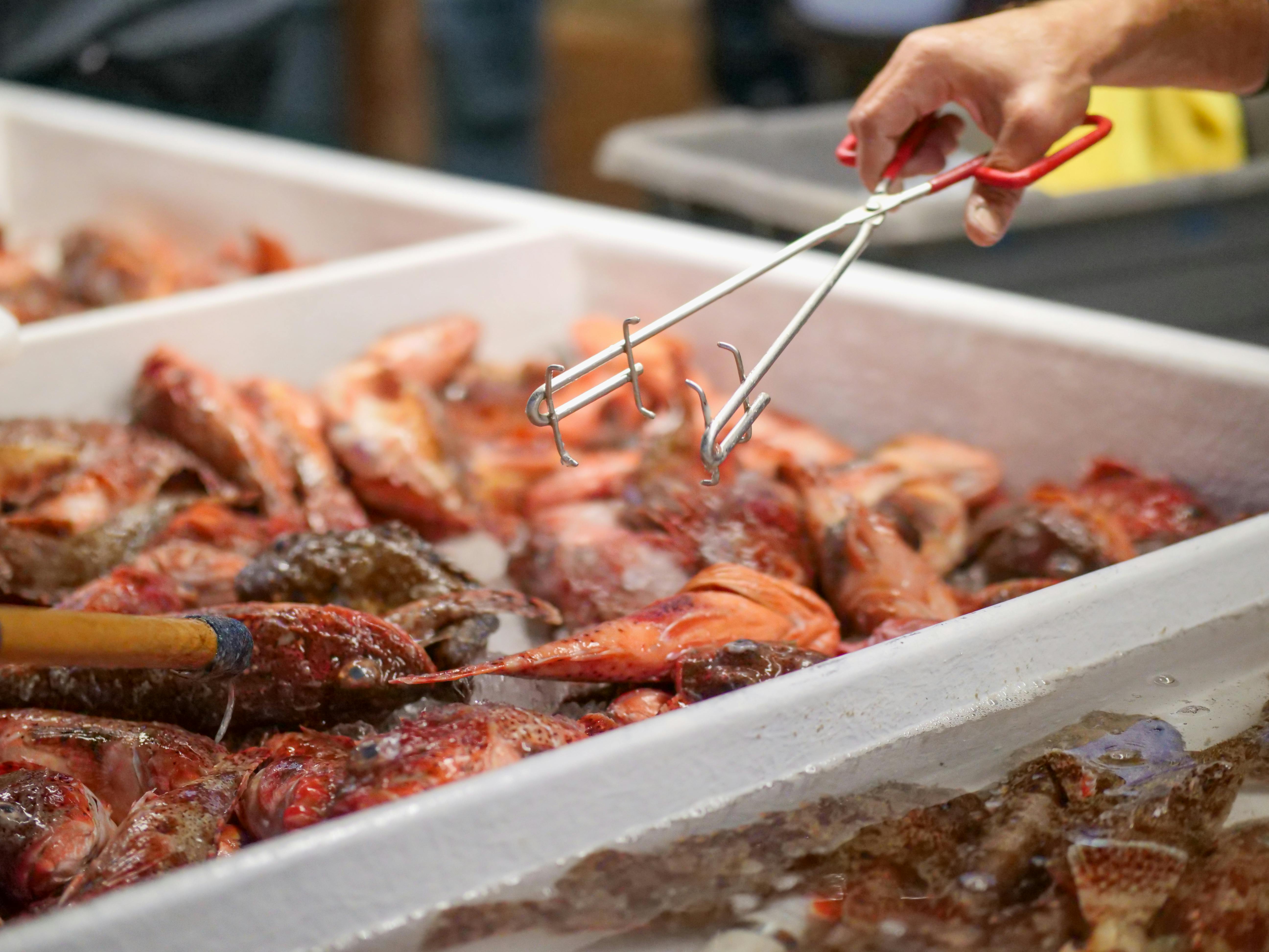 a person getting fresh sculpin at a fish market