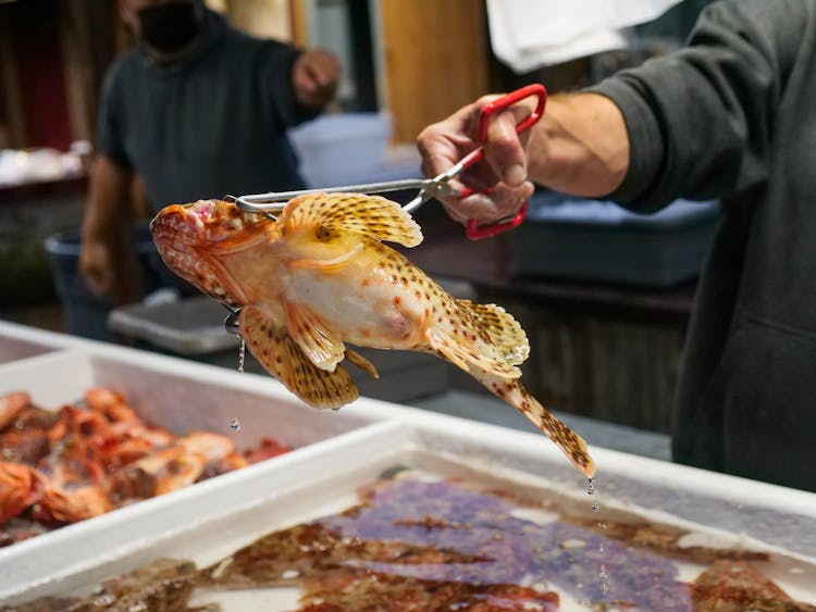 A Person Holding A Fresh Fish Using Tongs