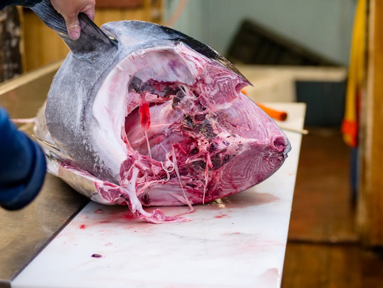 Slicing Of Fresh Tuna