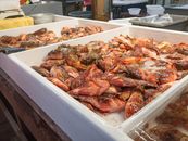 Cooked Shrimp on White Plastic Container