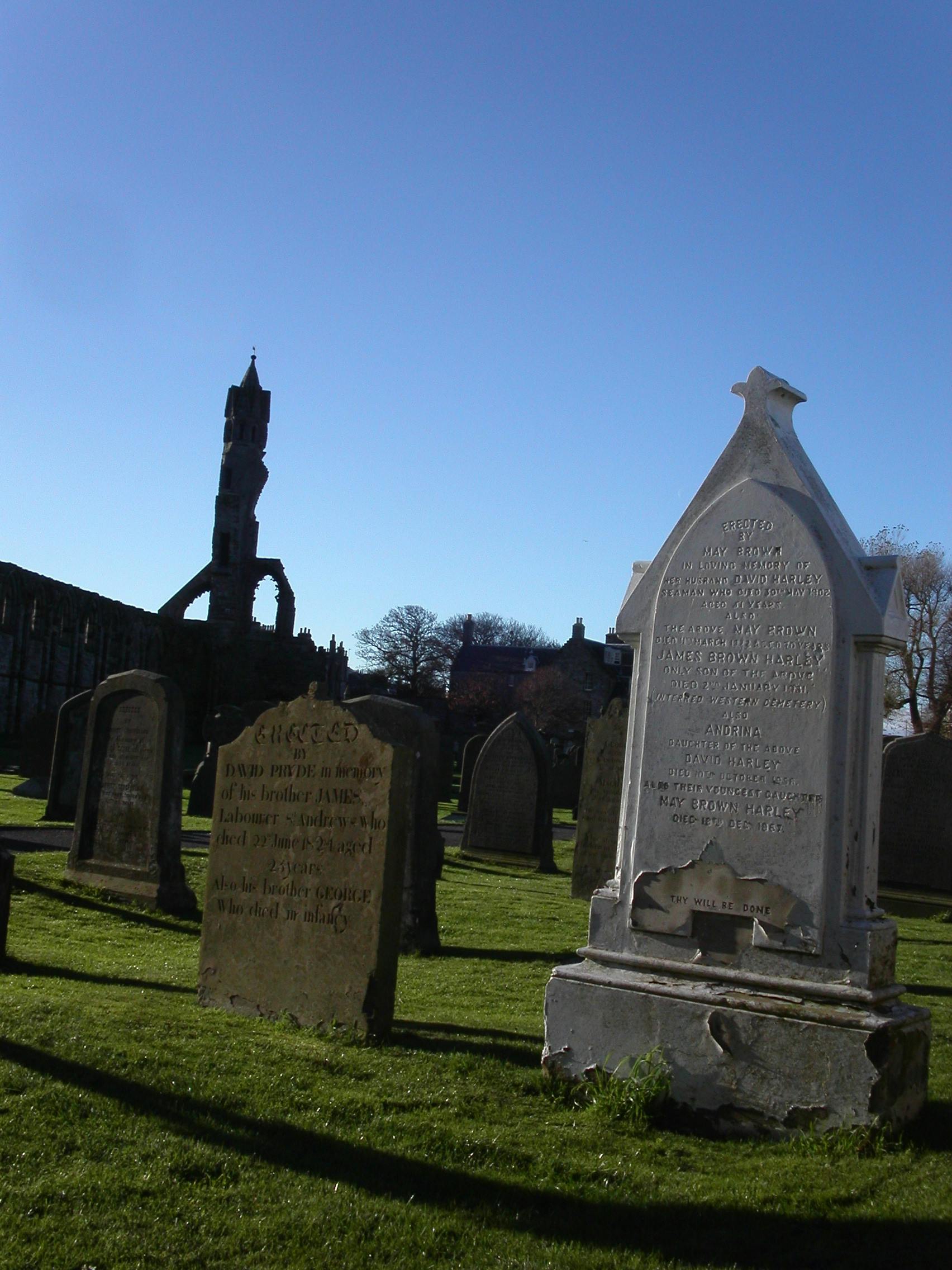 Free stock photo of grave, grave stones, graves