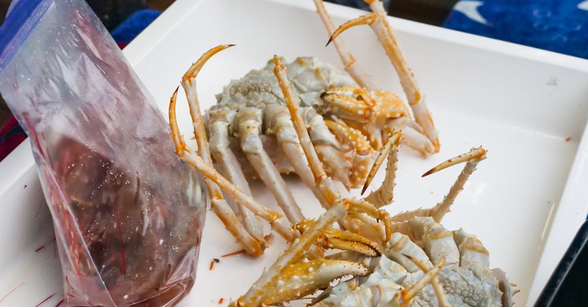 產業 食 力全開 2025台北國際食品系列展下週登場 攜手共創食品產業新浪潮