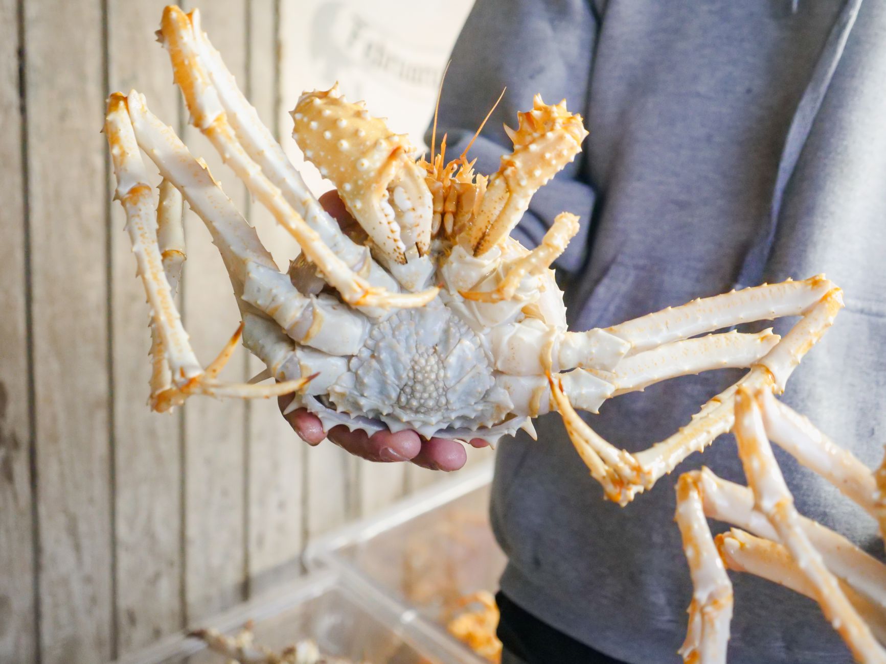 Hand holding a large fresh king crab at a seafood market. Perfect for culinary and marine themes.