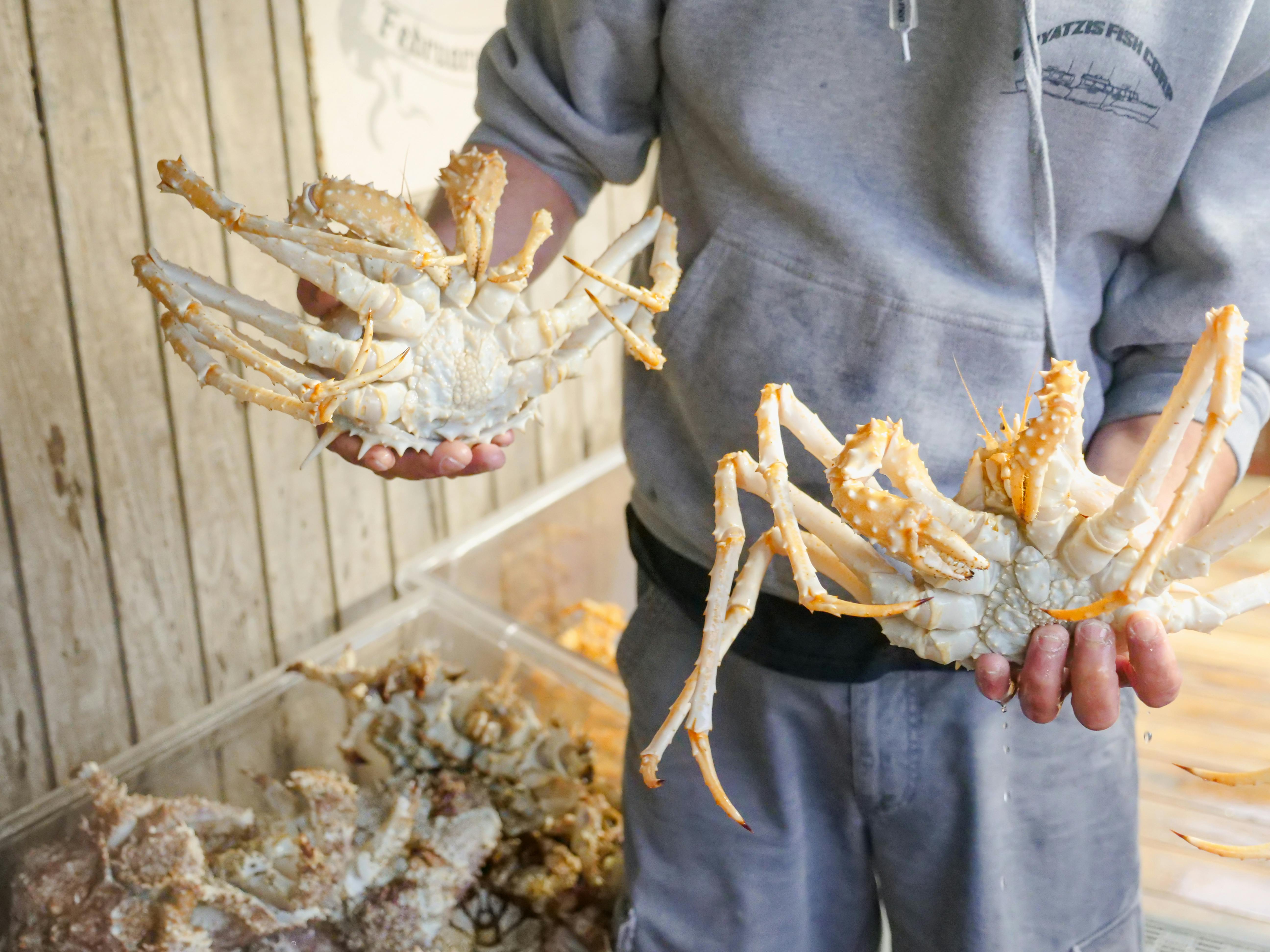 person in black long sleeve shirt holding brown crab