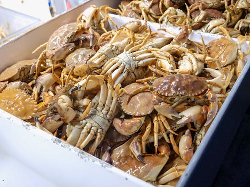 Gratuit Photos gratuites de crabes, cuisiné, cuit Photos