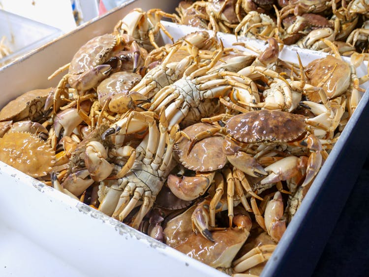 Crabs On A White Tray