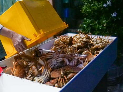 Box of fresh crabs at a fish market ready for sale, high quality seafood.