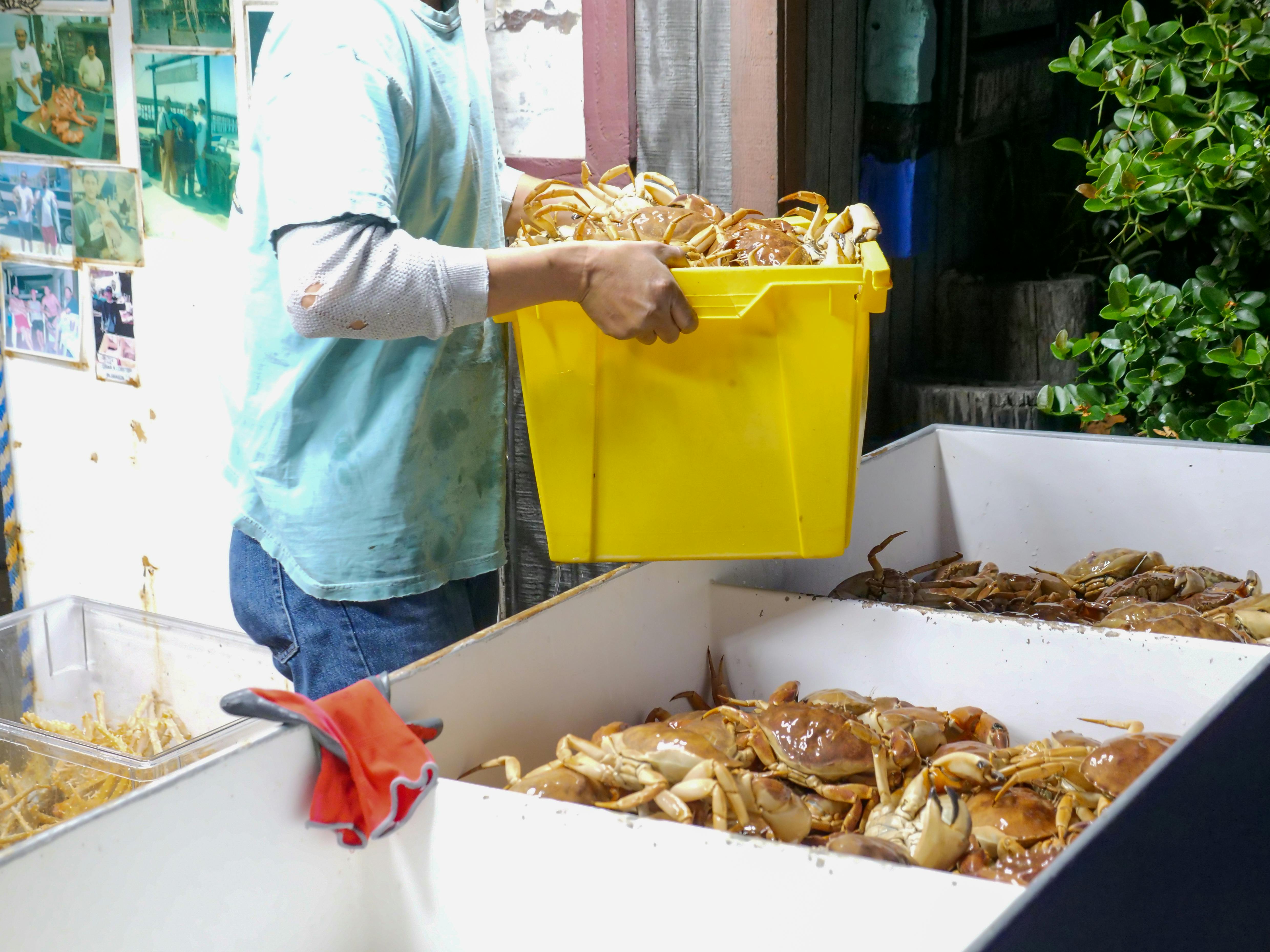 person in blue long sleeve shirt holding yellow plastic container