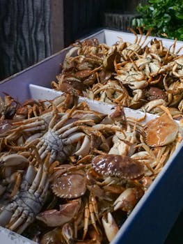 A variety of fresh live crabs in trays, ready for sale at a seafood market.
