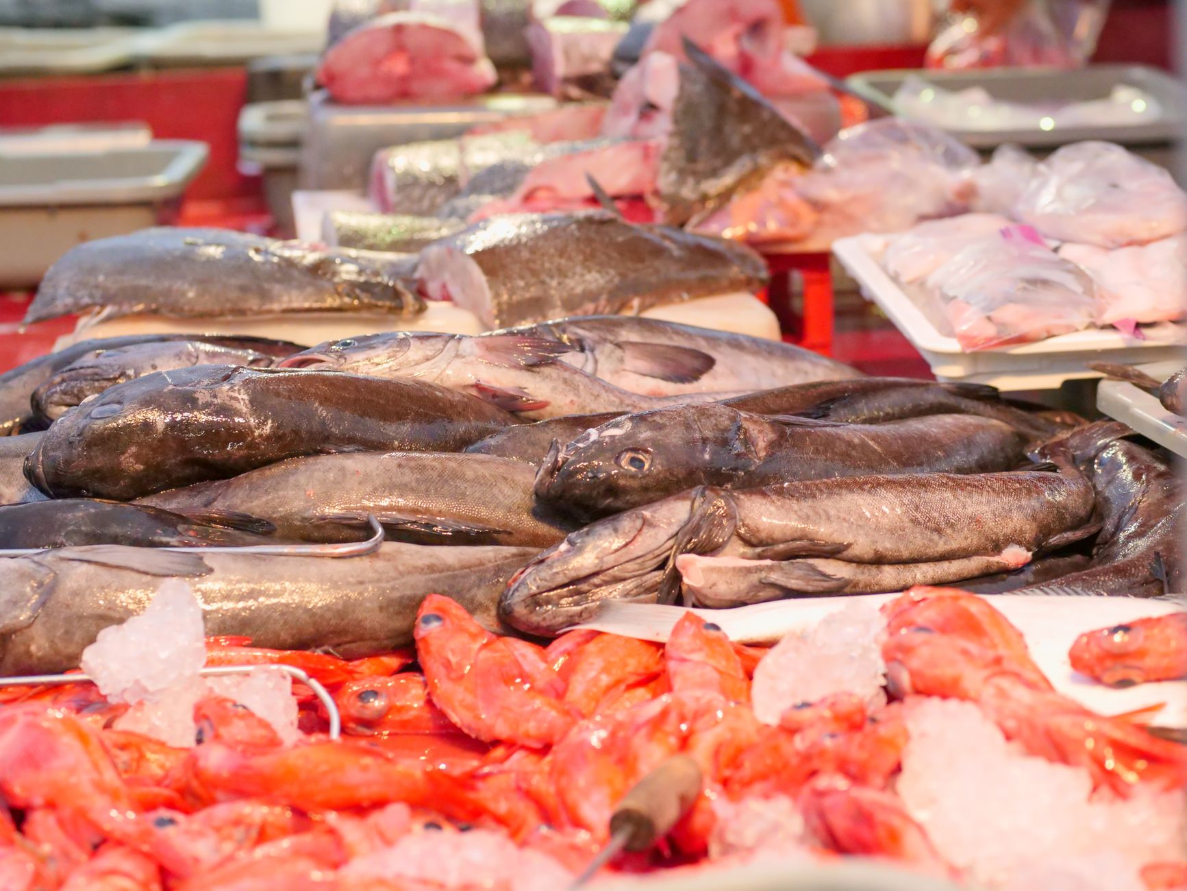 Fishmonger displaying fresh varieties of fish with clear labels at a market