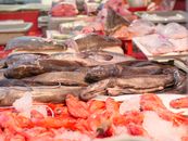 Fishes in a Wet Market