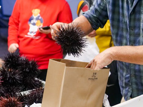 A close-up of a market vendor packing fresh sea urchins into a brown bag for sale.