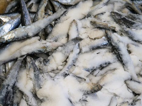 A close-up of freshly salted fish on display at a local market highlighting texture and freshness.