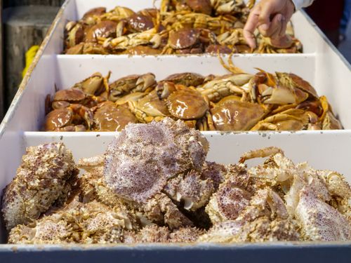 Free A selection of fresh crabs including stone crabs, displayed in a seafood market setting. Stock Photo