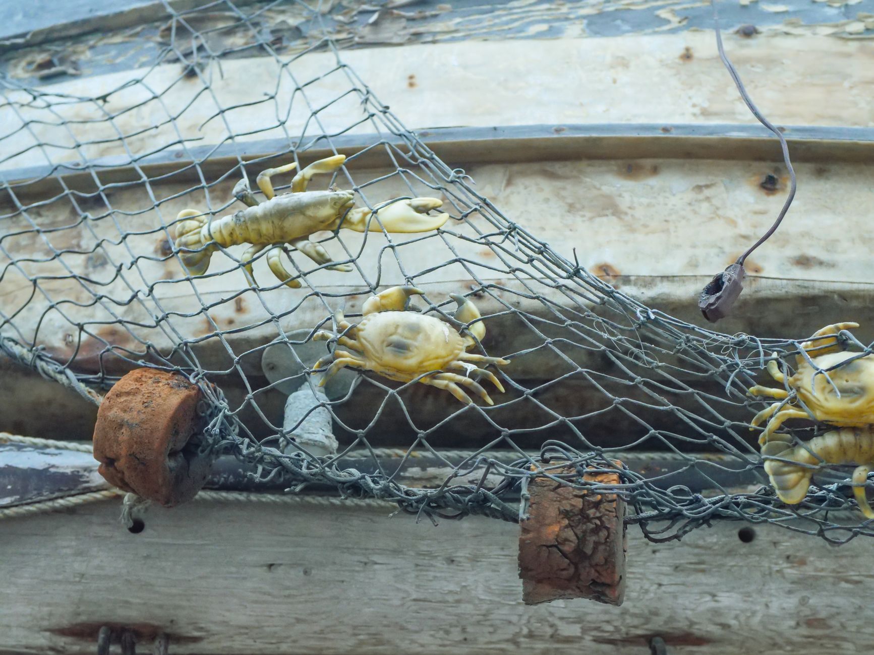 Crabs caught in a weathered fishing net on a rustic wooden boat.