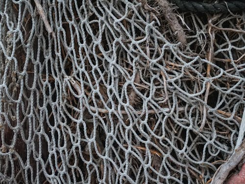 Bezpłatne Darmowe zdjęcie z galerii z lina, sieć rybacka Zdjęcie z galerii