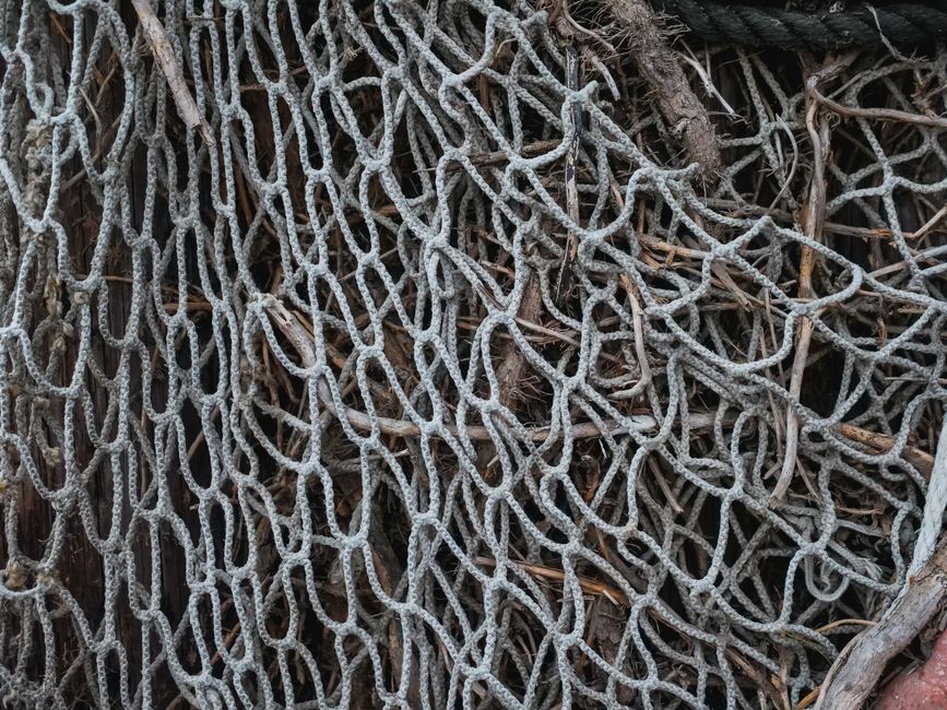 circle|intricate knot pattern