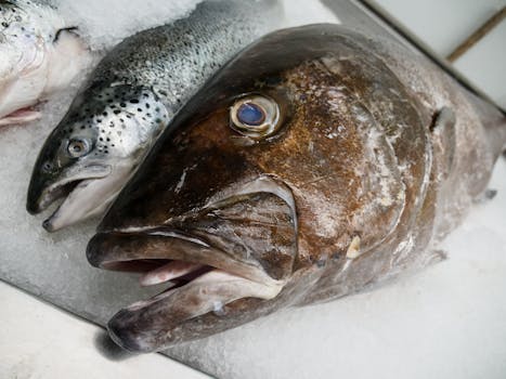 Fresh fish on ice, showcasing seafood variety at a local fish market.