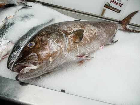 Large fish on ice at a seafood market, highlighting freshness and quality.