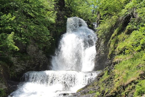 Kostenloses Stock Foto zu bäume, fallendes wasser, felsen