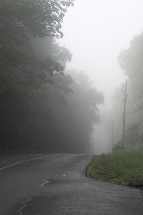 Kostenloses Stock Foto zu hochspannungsleitungen, nebel, neblig