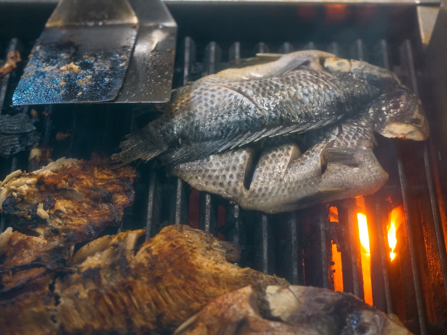 Kulinarische Highlights: Fisch, Wein und lokale Spezialitäten
