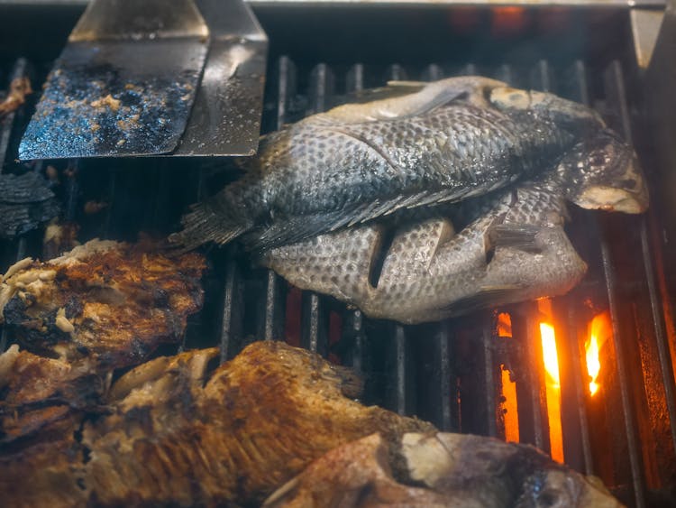 Fresh Fishes On The Grill 