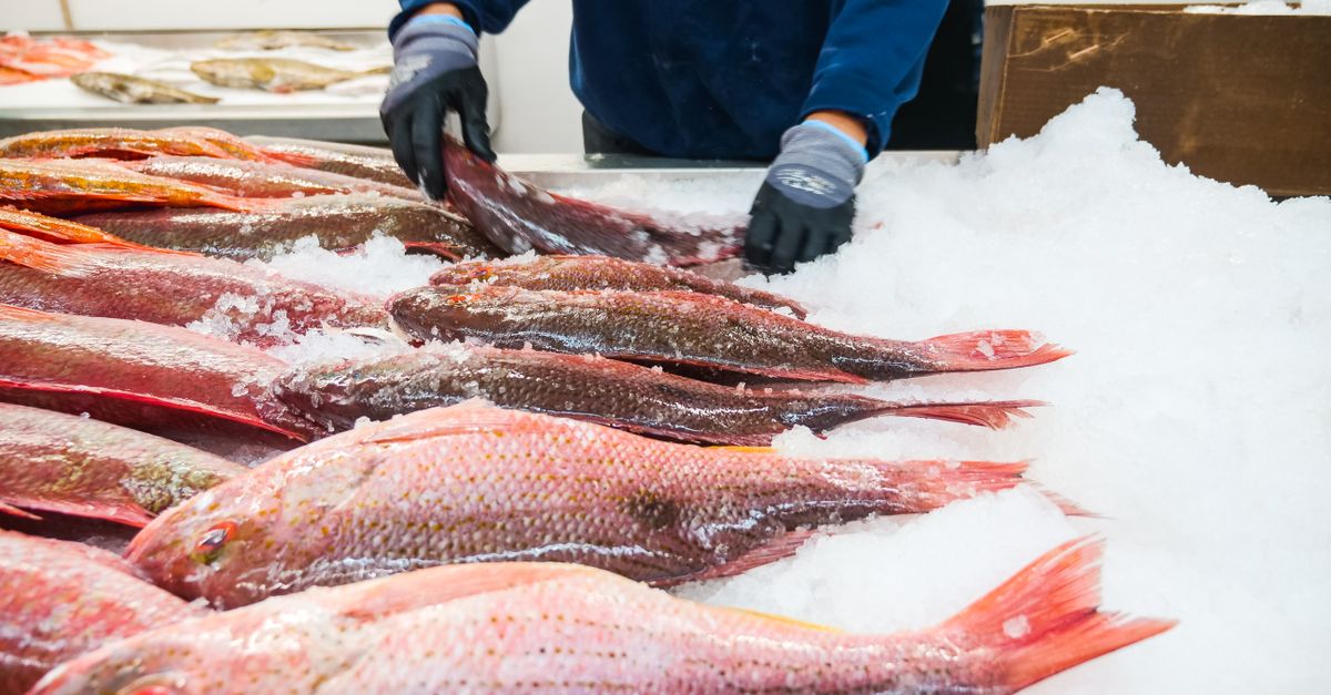 Photo by Kindel Media A vibrant display of fresh red snapper neatly arranged on ice at a bustling fish market.