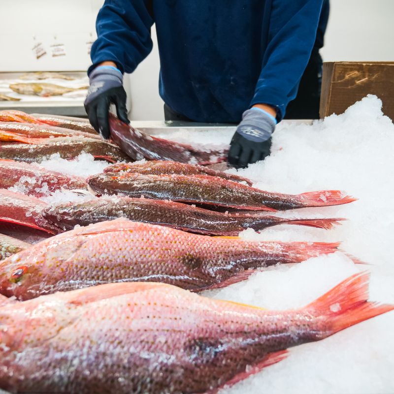 Belizean Recado Roasted Red Snapper