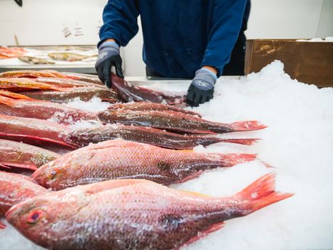 Photo by Kindel Media A vibrant display of fresh red snapper neatly arranged on ice at a bustling fish market.