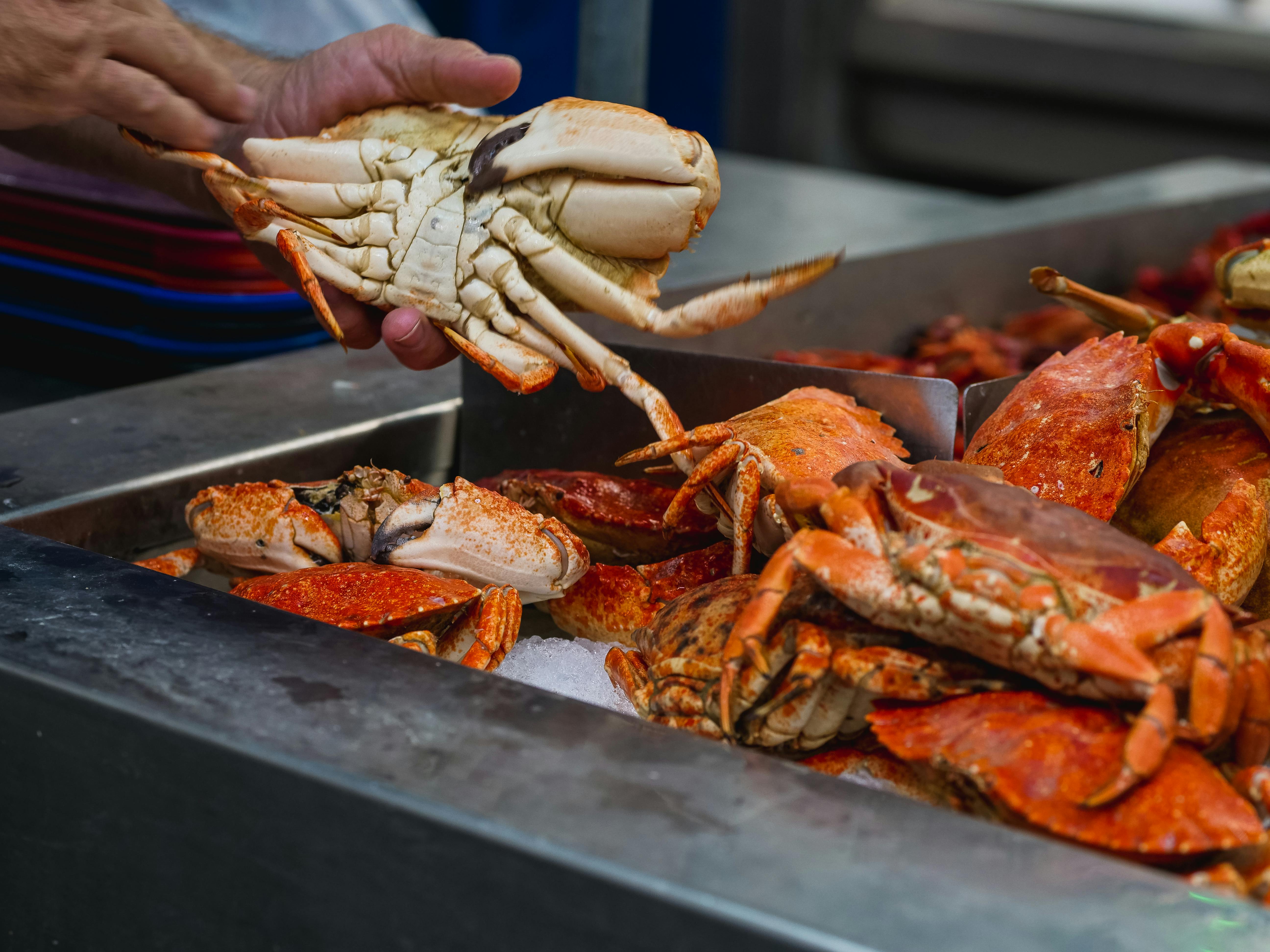 Crab Feast 2025 at Aslin Herndon