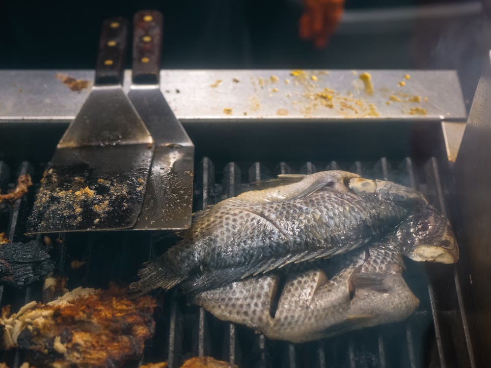 Free Grilling of Tilapia Fish  Stock Photo
